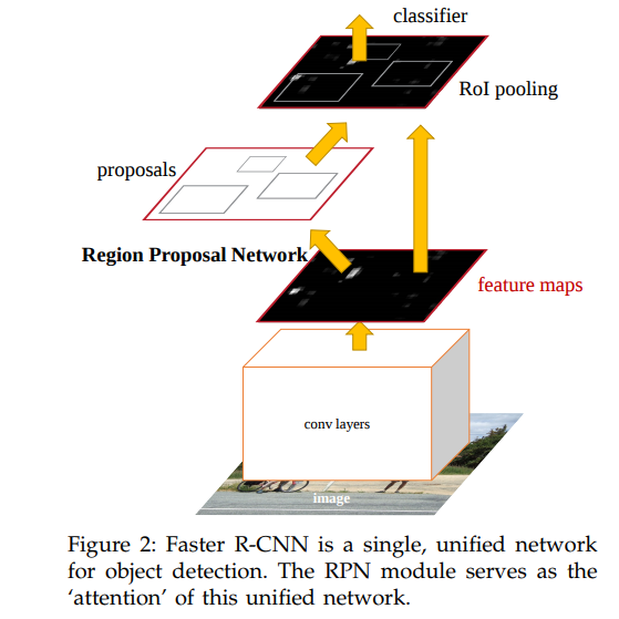 17. 텐서플로우(TensorFlow)를 이용한 Faster R-CNN Transfer Learning(Fine-Tuning ...